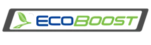 Ford Ecoboost Specialists in London